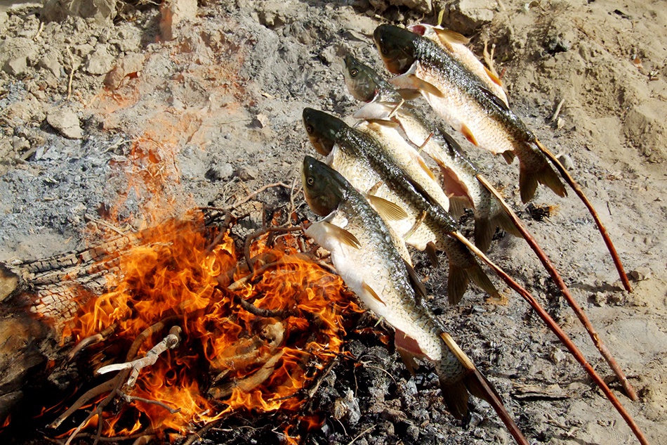 Blog Post With Youtube Video