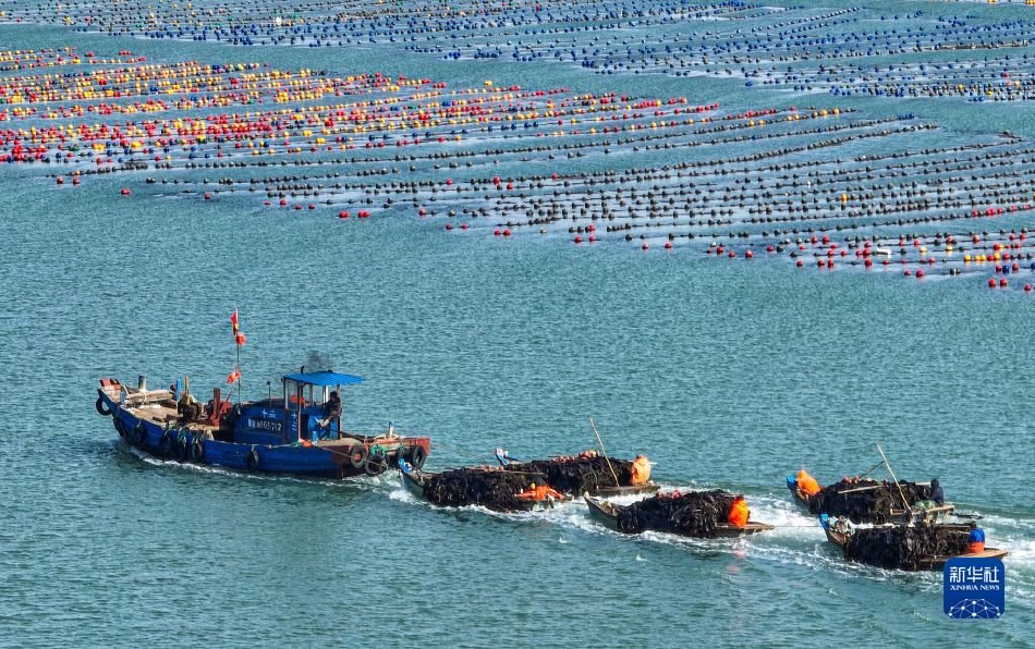 Blog Post With Youtube Video